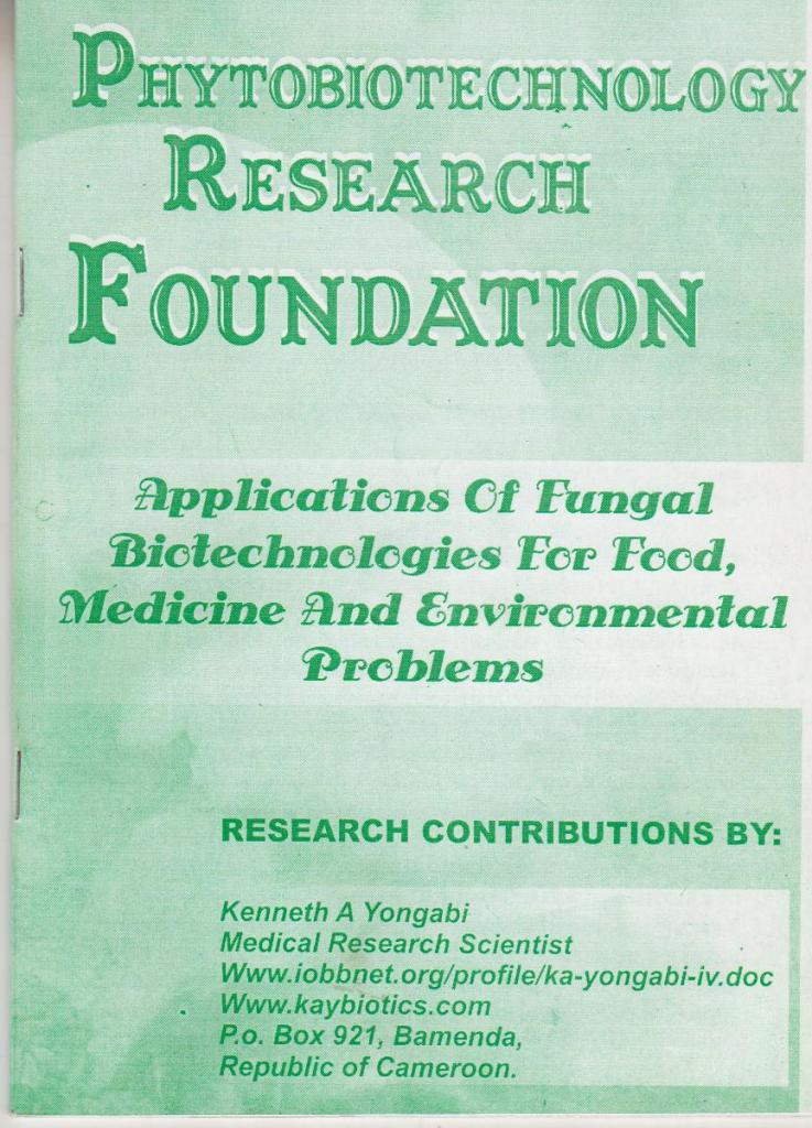 Project Poster 13