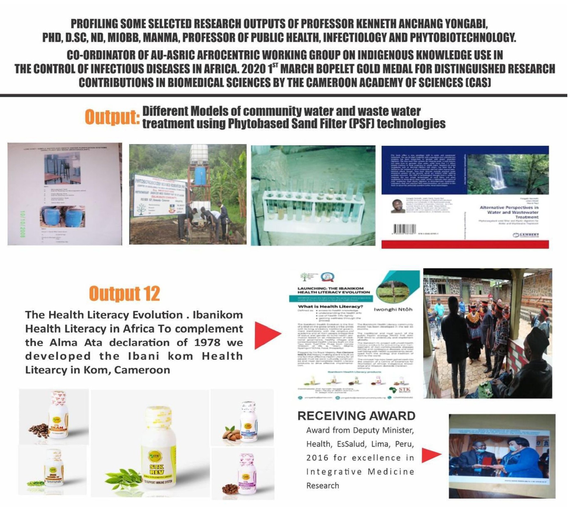 Project Poster 2