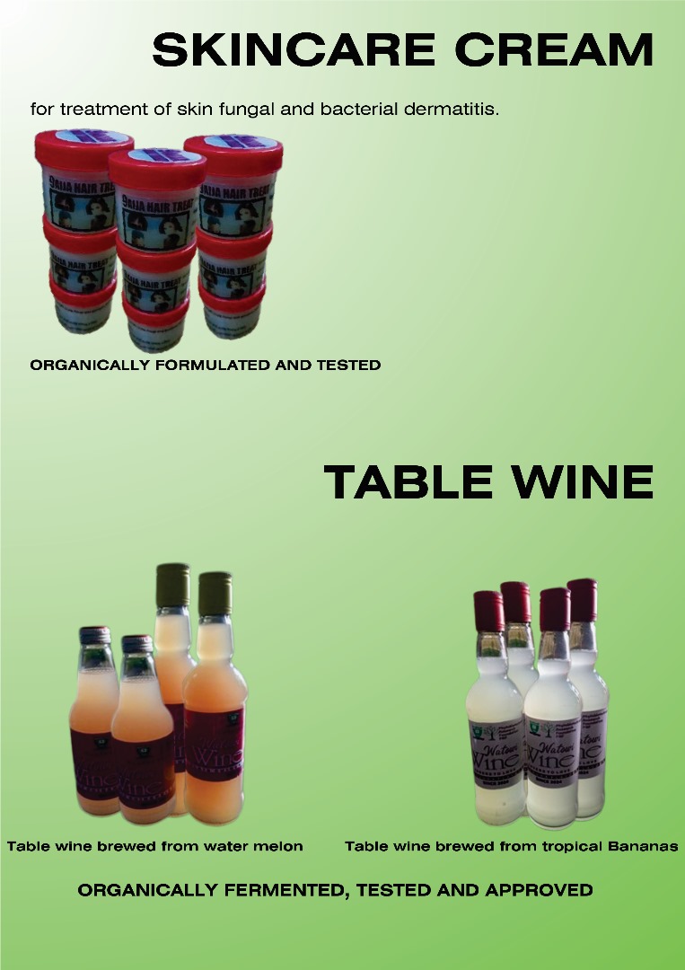 Project Image 3