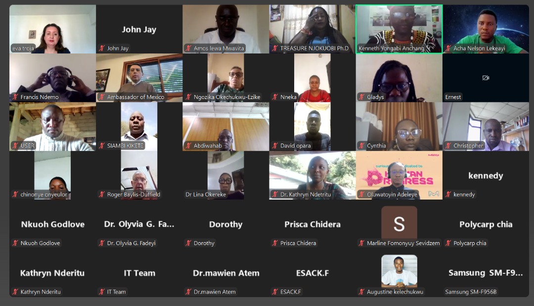 Webinar with Mexican Ambassador 2