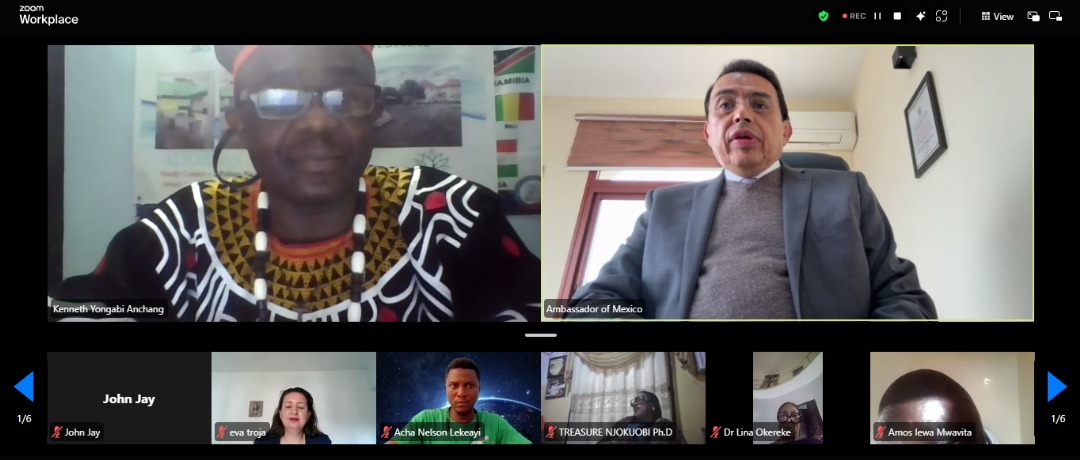 Webinar with Mexican Ambassador 3